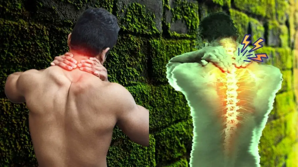 Crossfit Neck Pain Treatment and Cause