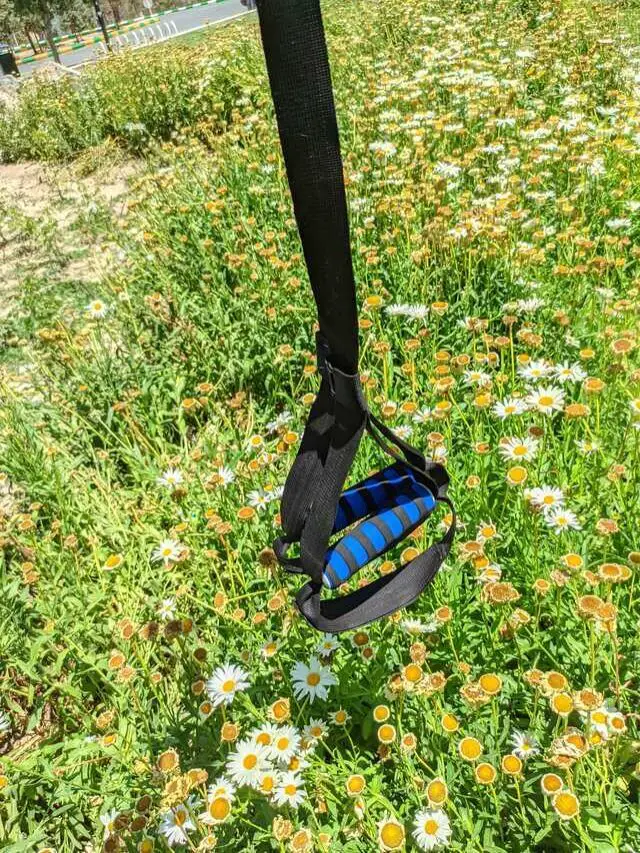 Innovative TRX Mounting Ideas